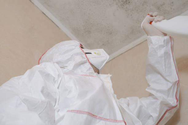 Best Emergency Mold Removal  in Houston, MO