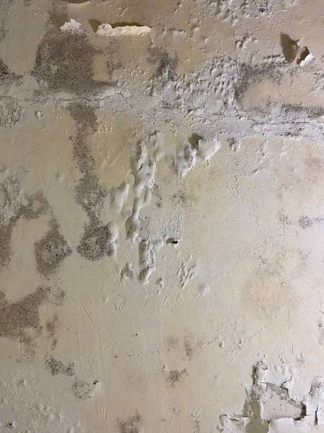 Water Damage Restoration in Houston, MO